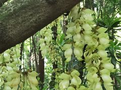 -天鹿湖森林公园