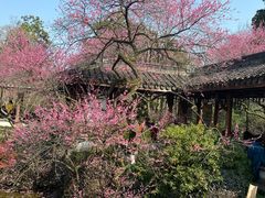 -杭州植物园