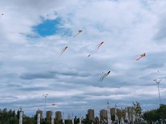 景点-丁香湖公园