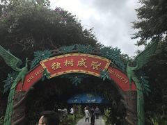 -瑞丽独树成林风景区
