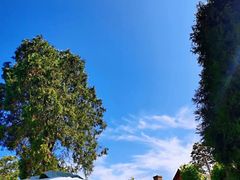 -春风十里咖啡馆