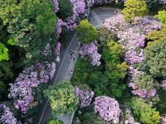 -梧桐山风景名胜区