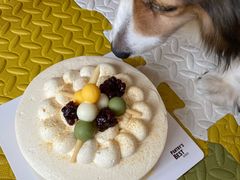 -派悦坊·甜品·蛋糕(日坛店)