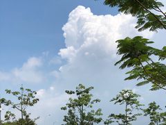 -二沙岛艺术公园