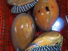 -醉壹号海鲜大排档(厦门美食地标店)