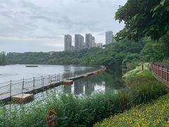 -重庆彩云湖湿地公园