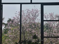 -华农酸奶文化馆