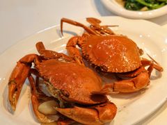 -阳江餐厅·30年老字号·粤菜海鲜大排档