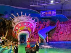 -烟台海昌鲸鲨海洋公园