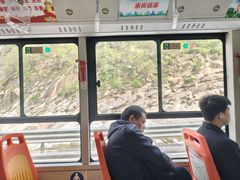 -王顺山国家森林公园