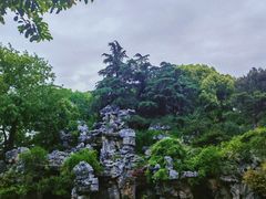 -红梅公园