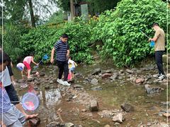 -重庆彩云湖湿地公园