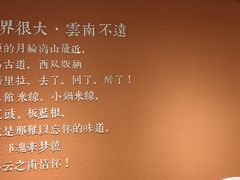 -云味馆·云南菜·云南米线(同泰时代广场店)