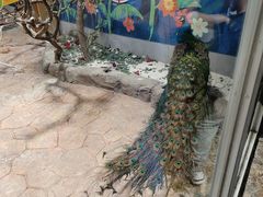 -海合安青岛极地海洋公园