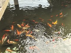 -豫园湖心亭茶楼