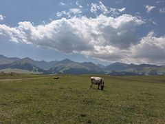 -新疆那拉提国家旅游度假区