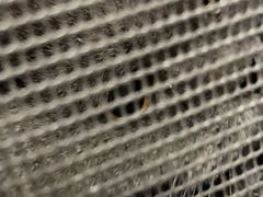 -宠福鑫动物医院(立水桥分院)