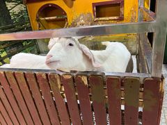 -上海大自然野生昆虫馆(东方明珠·爬宠昆虫探索中心)