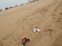 -南戴河旅游度假区
