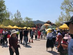 -龙口南山旅游景区