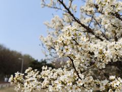 -北京奥林匹克公园