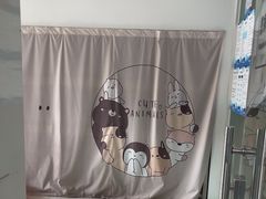 -顺强宠物诊所·狂犬免疫·夜诊·骨科(嘉定店)