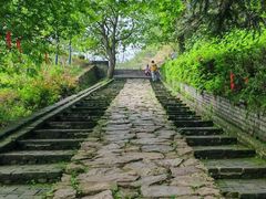 -冶父山国家森林公园
