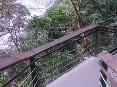 -太鲁阁公园