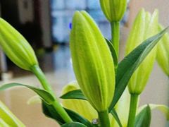 -慢妙云端·SPA会所