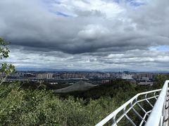 -大青山野生动物园