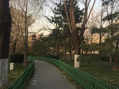 -护国寺小吃店(阜成门桥店)