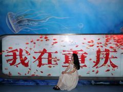 -重庆欢乐海底世界