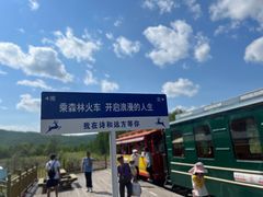 -莫尔道嘎国家森林公园