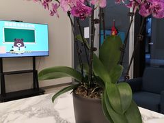 -瑞尔齿科(颐堤港诊所)