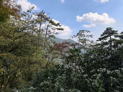 -东天目山风景区