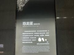 -中国西峡恐龙遗迹园