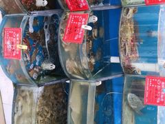 水产区-聚德福海鲜家常菜(刘庄店)