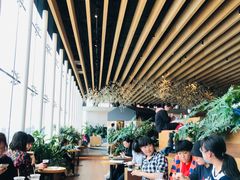 -Seesaw Coffee(朝阳大悦城店)