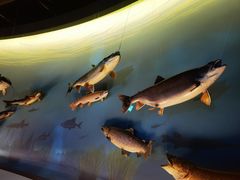 -陕西自然博物馆