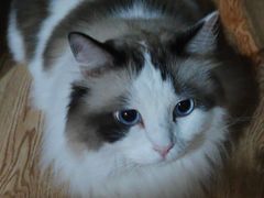 -白兔子密室(长寿路店)