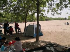 -东郊湿地公园