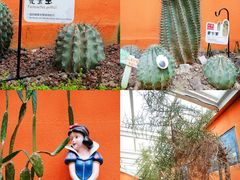 -正佳雨林生态植物园