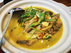 -饭怕鱼(阳光100店)