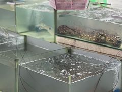-拉威海鲜市场