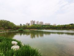 -燕郊植物园