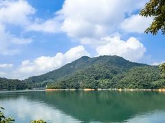 -广州市流溪河国家森林公园