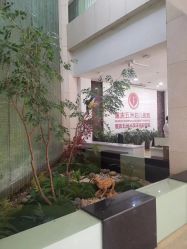 -重庆五洲妇儿医院·妇幼保健
