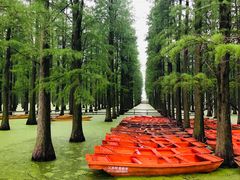 -渌洋湖湿地公园