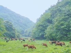 -水磨沟环境自然保护区