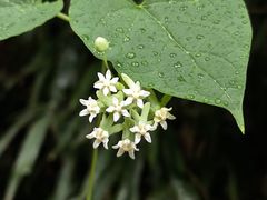 -黔灵山公园